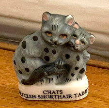 Adorable Fève CHATS British