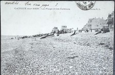 🦬 Carte postale - Postcard