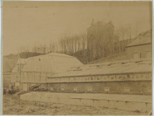 France, greenhouse, vegetable garden, botanical garden, to be identified albumen print 17x