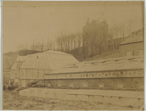 France greenhouse vegetable - france,, greenhouse,