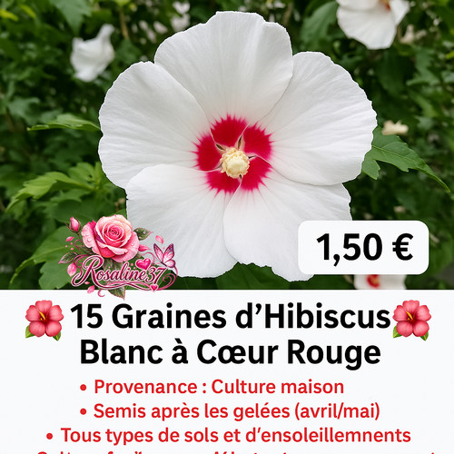 Graines - 🌺15,