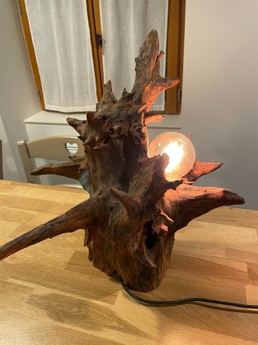 Lampe bois racine - , pour