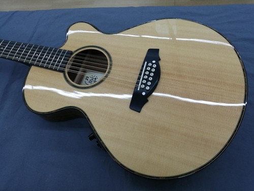 Guitare acoustique électrique
