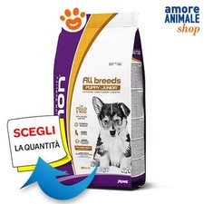 Monge Gemon Chiot Chien Toutes