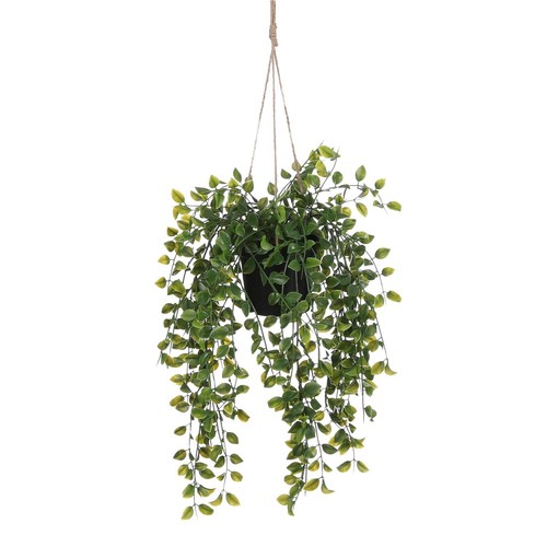 Mica decorations plante - mica,