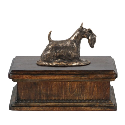 Chihuahua poil court urne - poil,