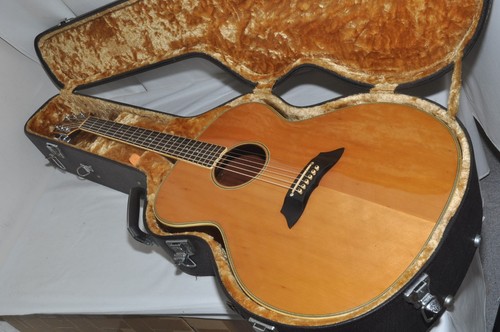 Guitare acoustique takamine - acoustique,