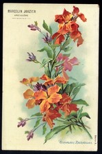 Old postcard - 16 - advertising - MARCELIN JOUZIER - FLORIST - ANGOULEME - CLOVES