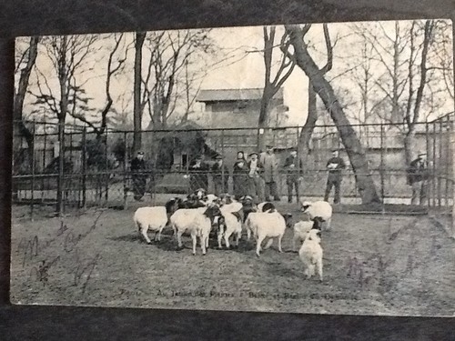 Paris jardin des - 75, plantes