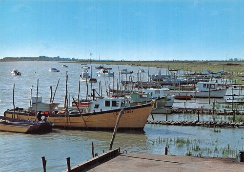 Aiguillon sur mer bateaux - 85,