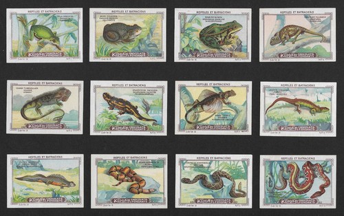 Poster stamps reptiles - poster,