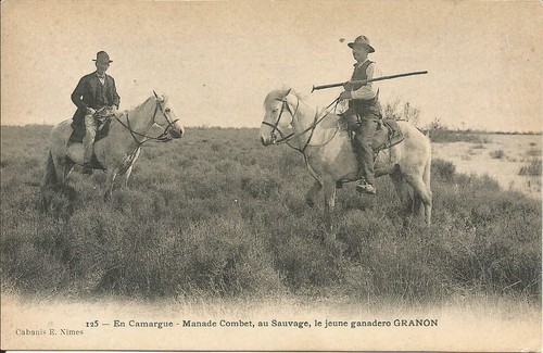 Cpa camargue manade - cpa,
