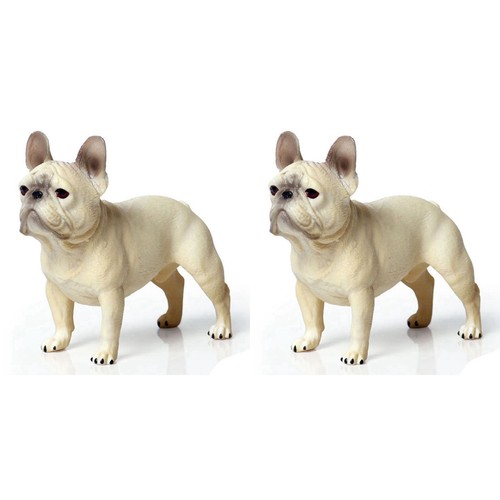 Chien modèles de - ,