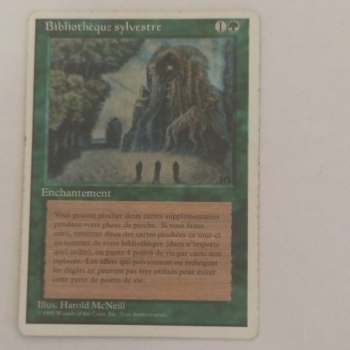 Wizards the coast - the, mtg