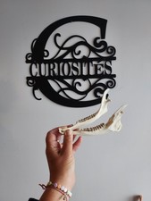 Deer Jaw - Genuine Natural Bone - Curiosity / Nature Decor