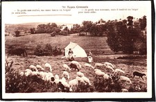 23 TYPES CREUSOIS, shepherds sheep grazing farm shepherd sheep