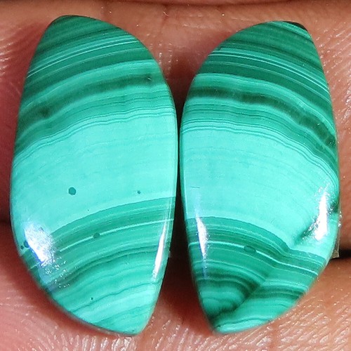 Naturel vert - 21.75,