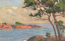 CP ILLUSTREE DANS L'ESTEREL -