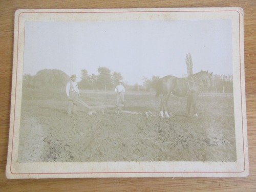 Photo albumine 1880 labour - albumine, le