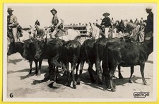 cpa Photo George ARLES SUR