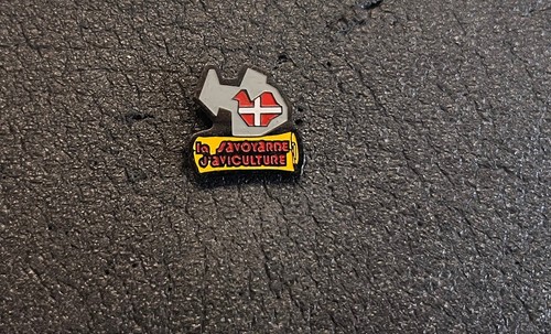 Pin collector rare - pin’s,