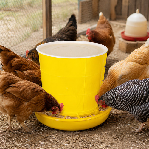 Mangeoire poules 80l - 80l, avec