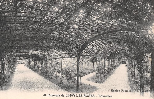 Hay les roses tonnelles - l,