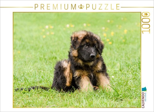 Puzzle calvendo berger - puzzle,