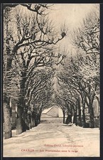 CPA Chablis, Les Promenades