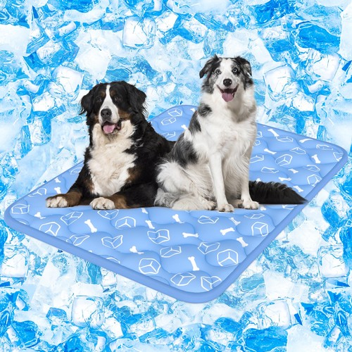 Tapis rafraichissant chien - tapis,