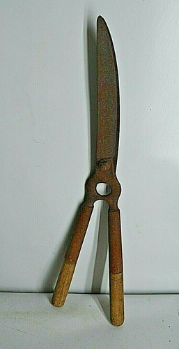 Ancienne cisaille coupe - cisaille, troene