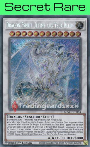 Dragon esprit ultime - esprit,