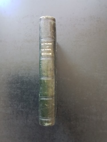 Corps humain 1869 - humain, a.