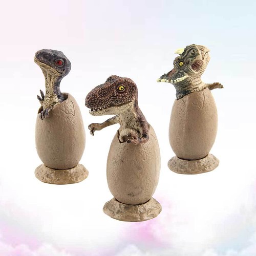 Pièces modèle oeufs de - pièces,