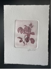 Belgique ? COB?Epreuve