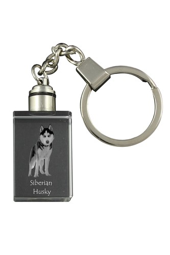 Siberian husky porte clés - -, porte-clés