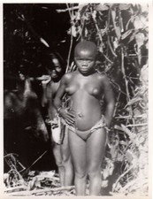 Pygmée de l'Ituri - Jeune