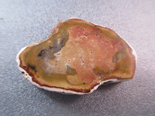 Madagascar petrified wood - madagascar,