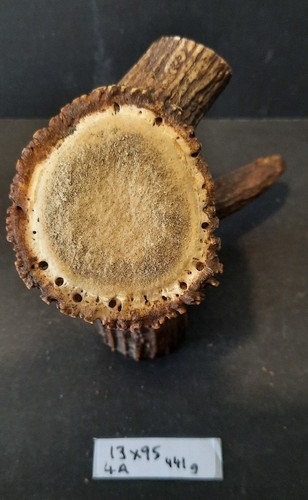 Bois cerf avec - de, 7