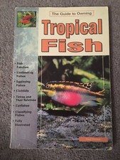 Tropical Fish