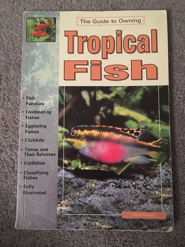 Tropical fish - tropical,