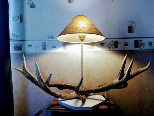 Grande lampe poser vrai - à,