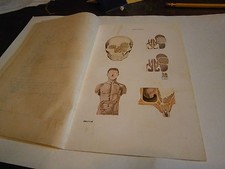 Planche/gravure science corps