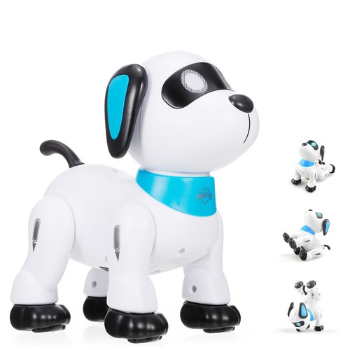 Neng k21 chien - le, robot