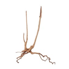 Décoration De Racine