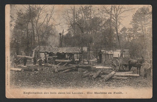 Cpa exploitation des bois - des,
