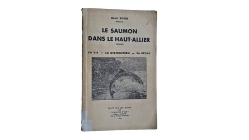 Saumon dans le - saumon,