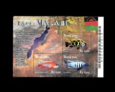 Freshwater fish Cichlids Brasil 2010 Lakes Malawi MINT