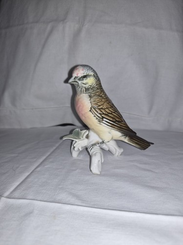Figurine oiseau karl ens - karl,