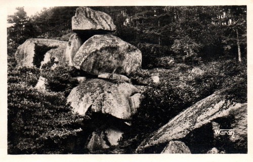 Carte postale - postale,